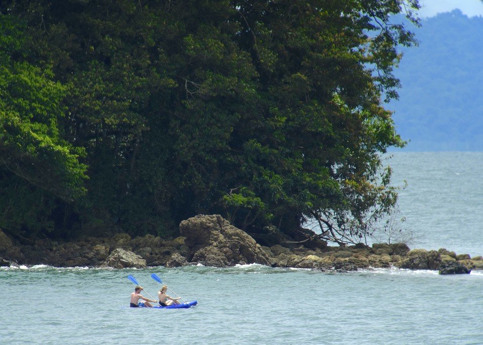 Get out in a kayas and keep an eye out for whales.