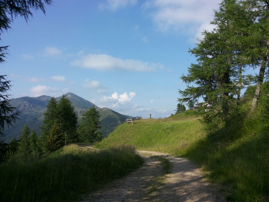A cycling path on Mount Panarotta