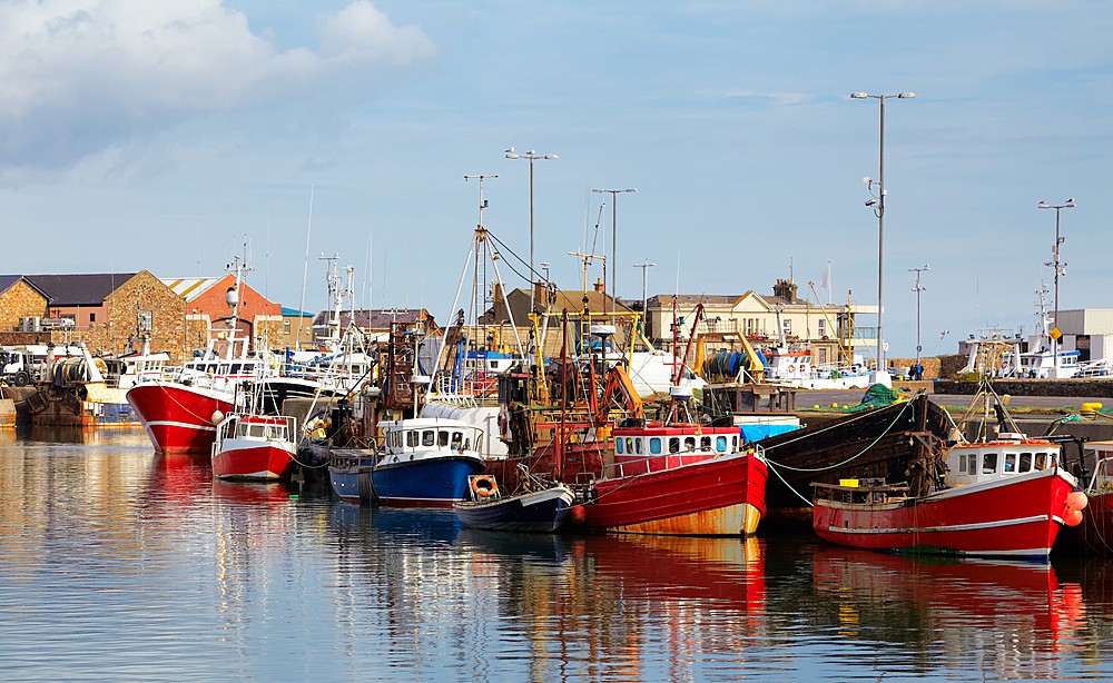 Dingle harbor