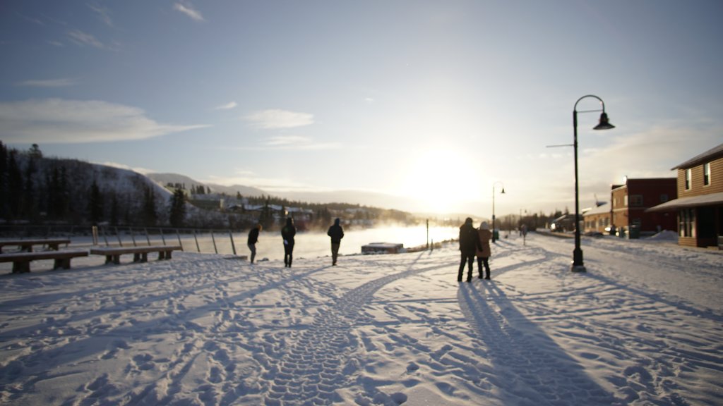 Say goodbye to the wintery tundra