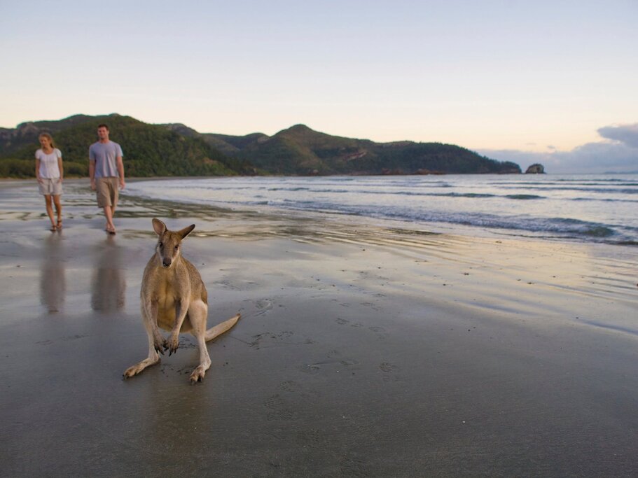 Mackay - Cape Hillsborough