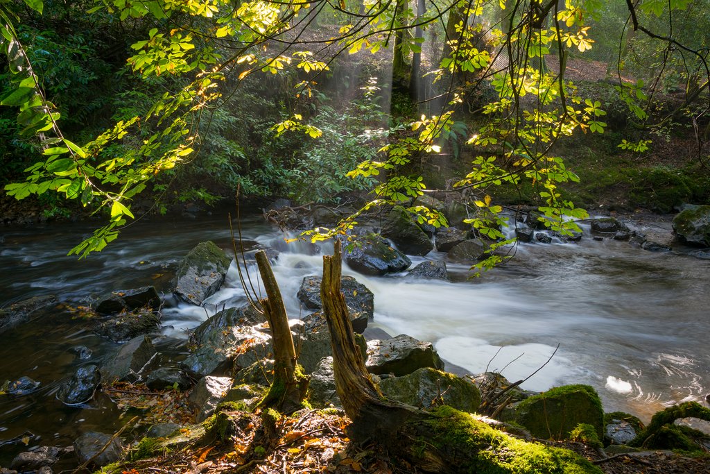 Crumlin Glen in County Antrim, Northern Ireland