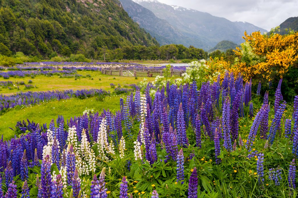 Goodbye, Patagonia!