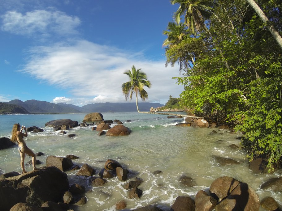 The Broken Coconut Tree of Ilha Grande