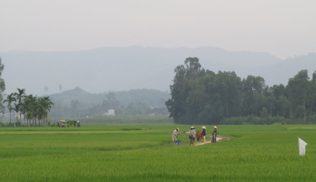 Quang Ngai