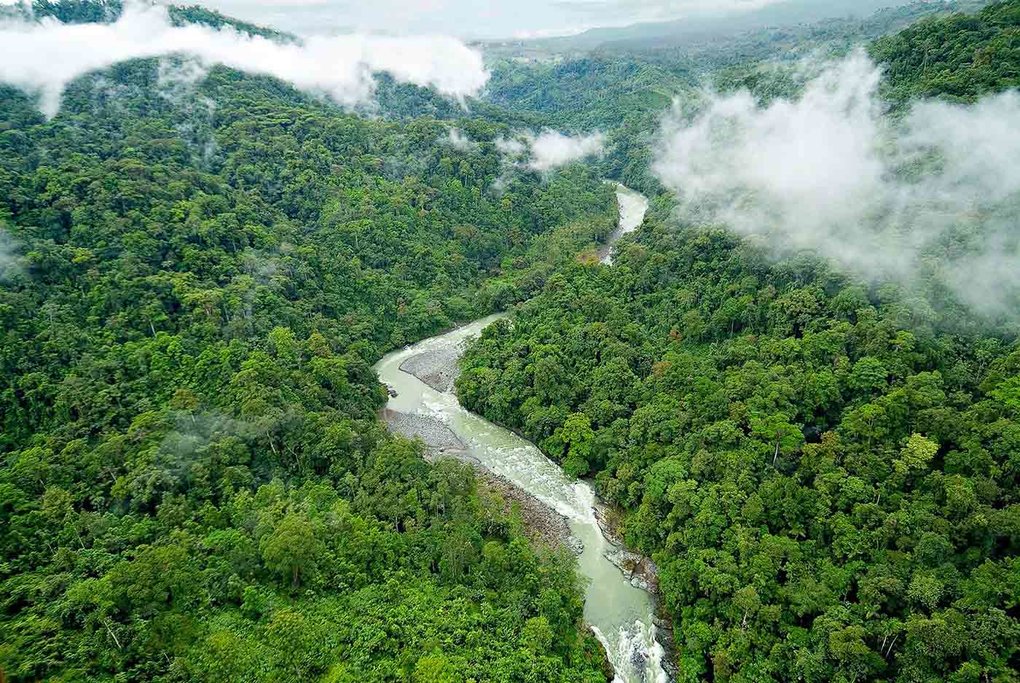 Enjoy your lodge in the Pacuare Forest Reserve