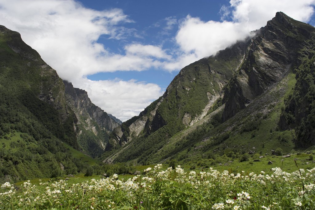 The Valley of Flowers