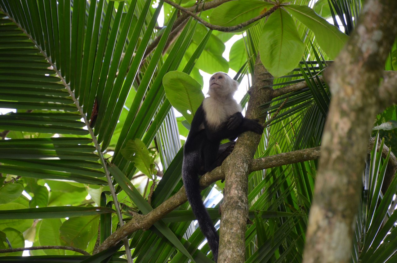 Photo taken by Sue M