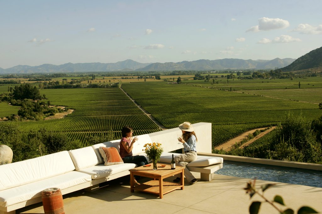 One of the many wineries around Santiago
