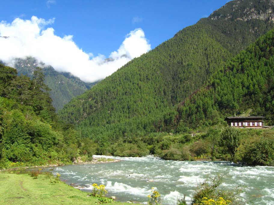 Maurothang