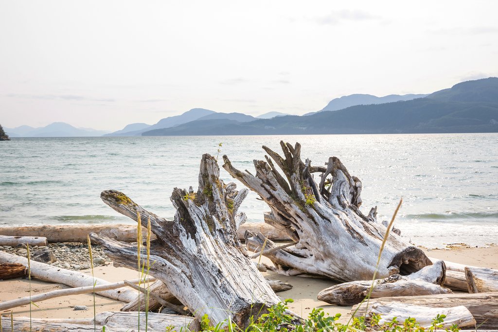 Coastline around Powell River