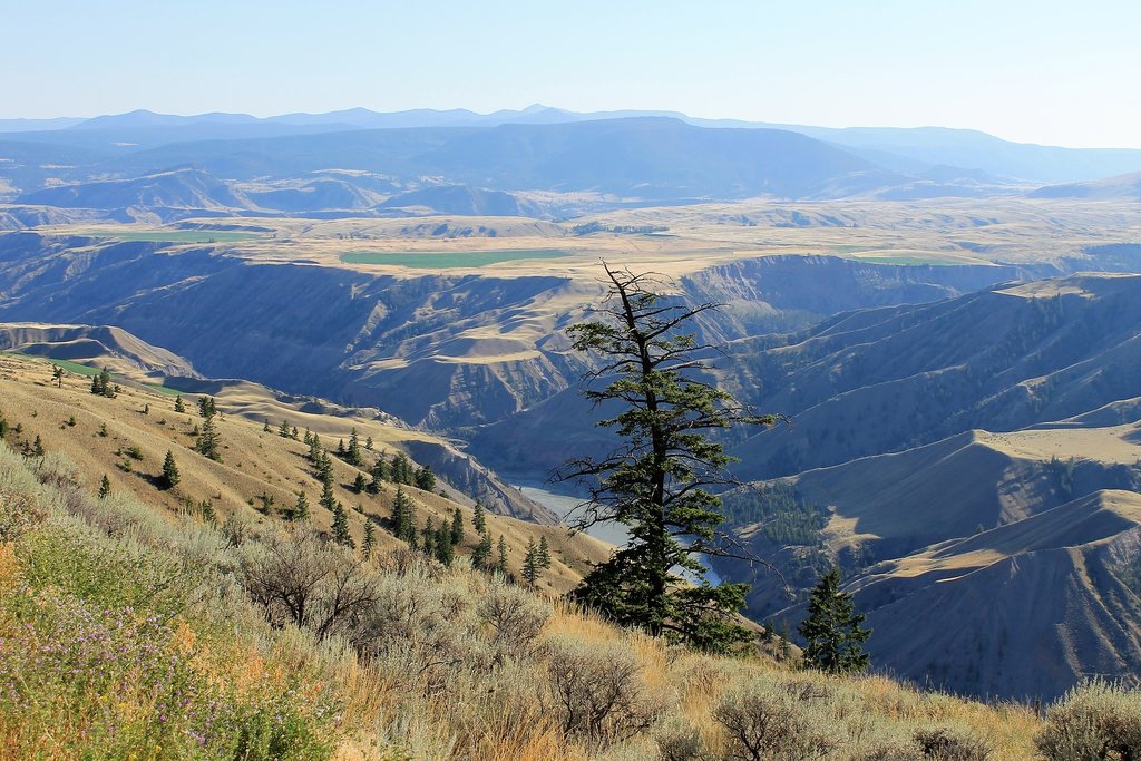 Landscape around the Chilcotin River