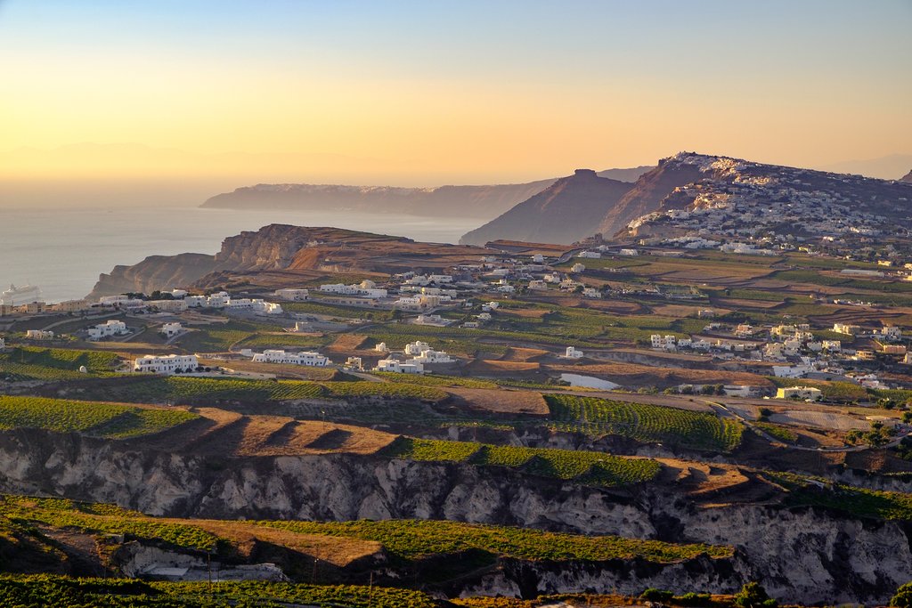 Vineyard hills