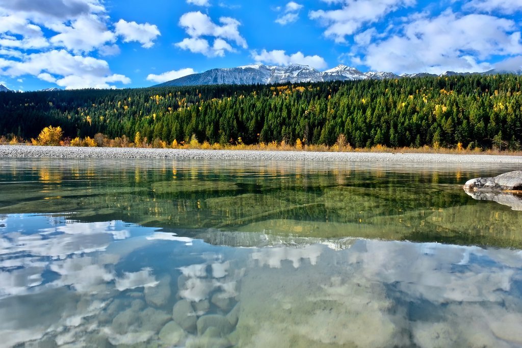 A calm section of the Kicking Horse River near Golden