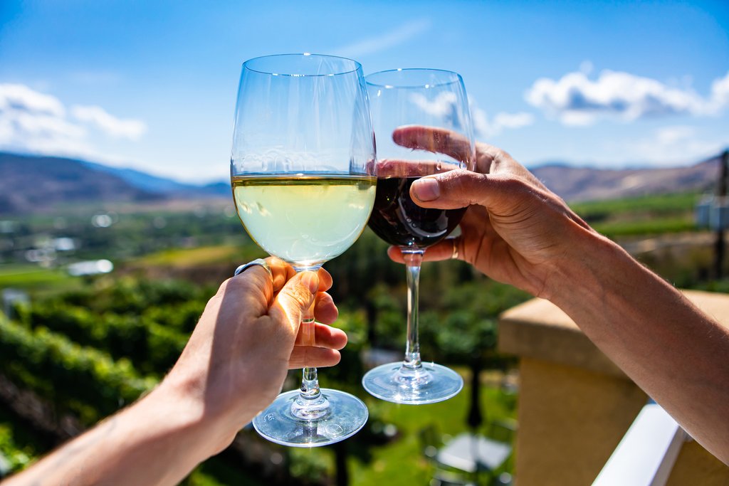 The Okanagan Valley holds over 80% of the province's vineyards