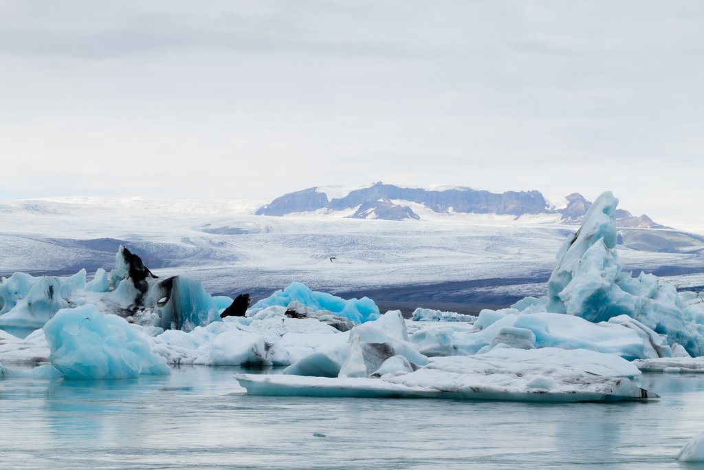Jokulsarlon Lagoon
