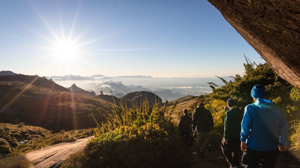 Hercules Portals Trekking Organs Range