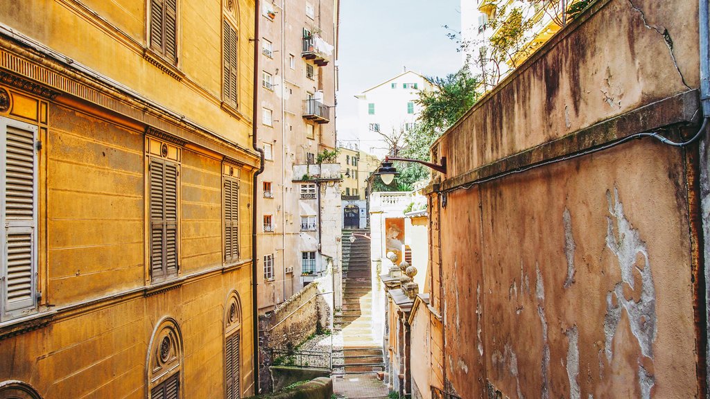 Genoa's old town