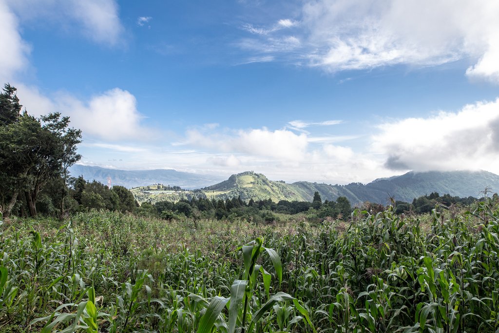 Landscape Near Pacaya Volcano