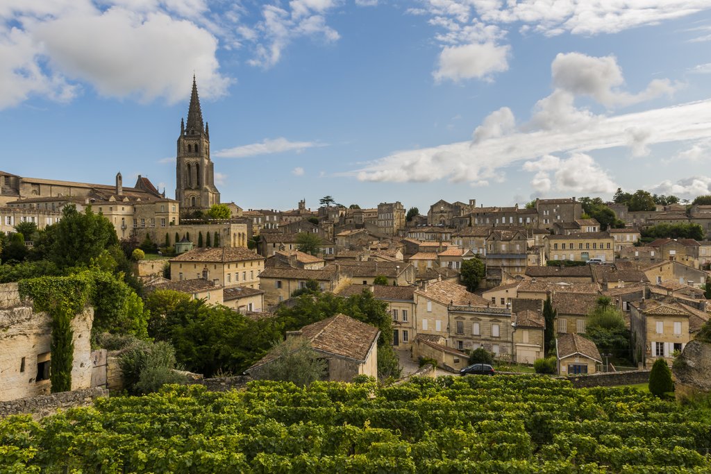 The village of St Emilion