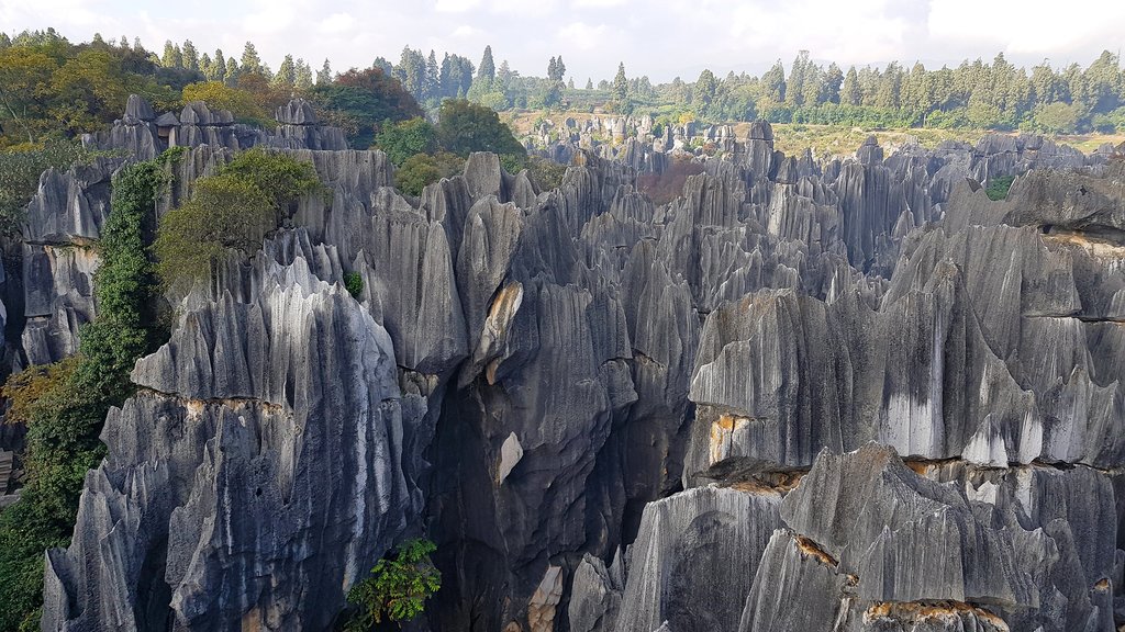 The Stone Forest, in Yunnan province
