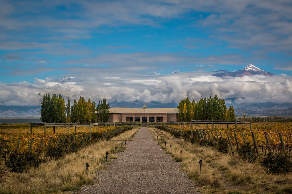 winery at Uco valley