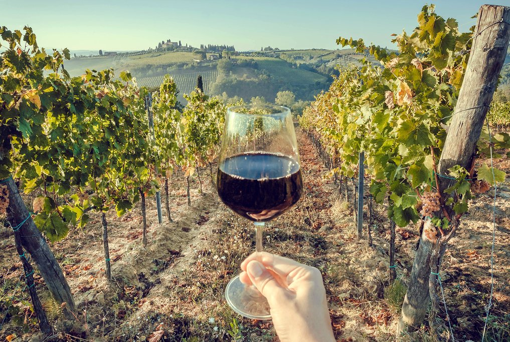 Enjoying a glass in the vineyard