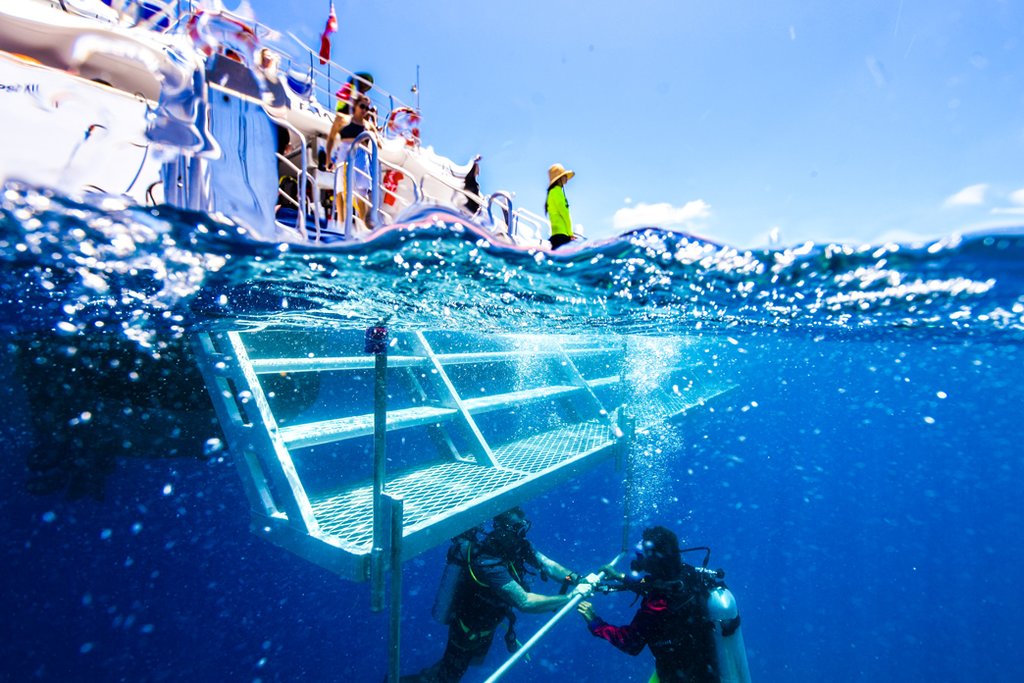 Explore the Great Barrier Reef