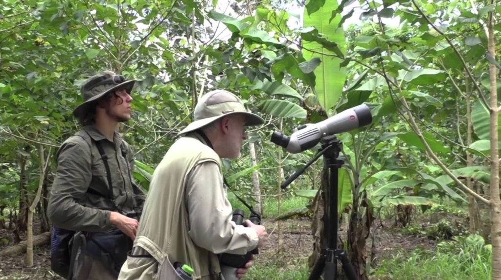 Enjoy a full day of birding around Rancho Naturalista