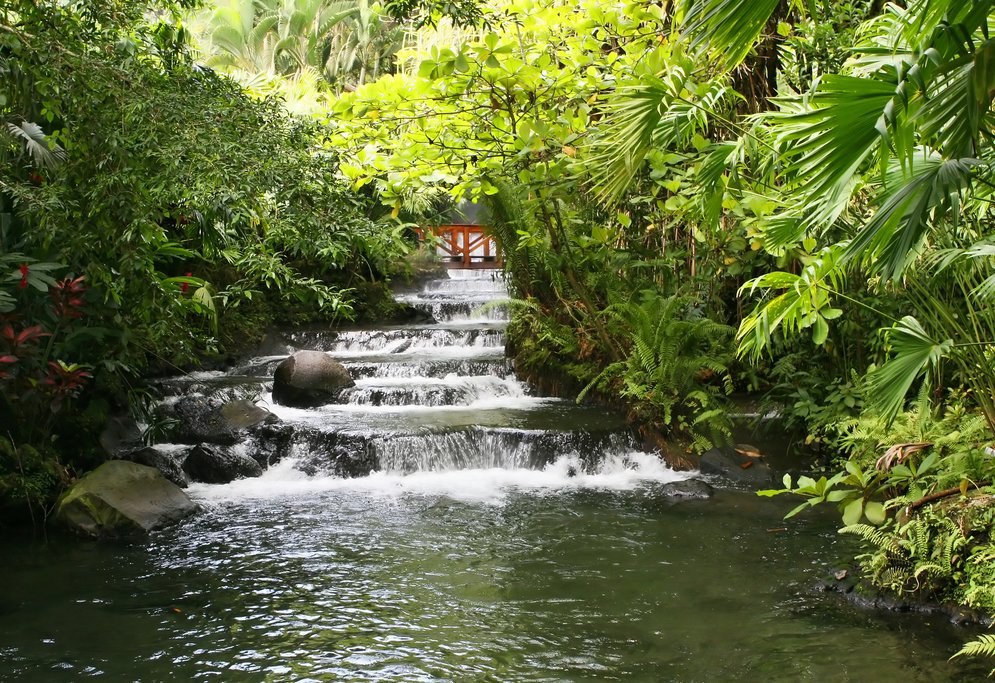 The natural hot springs at Tabacón
