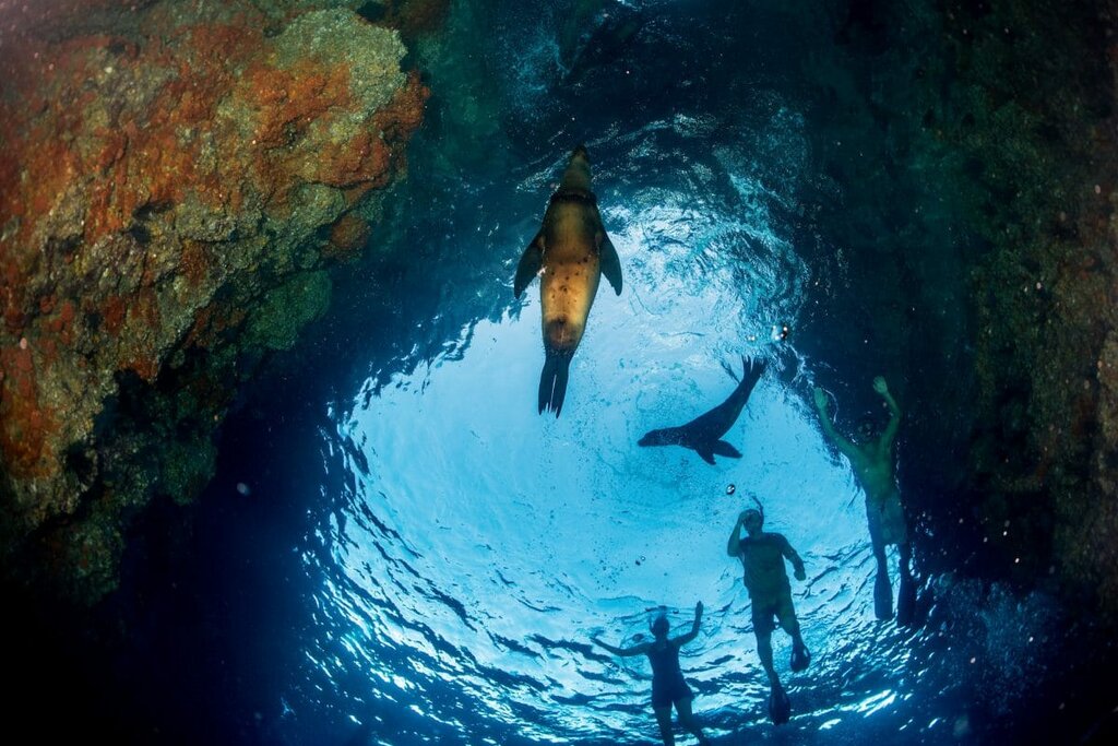 Exploring the Underwater World: Discovery Basic Diving Day in Santa Cruz