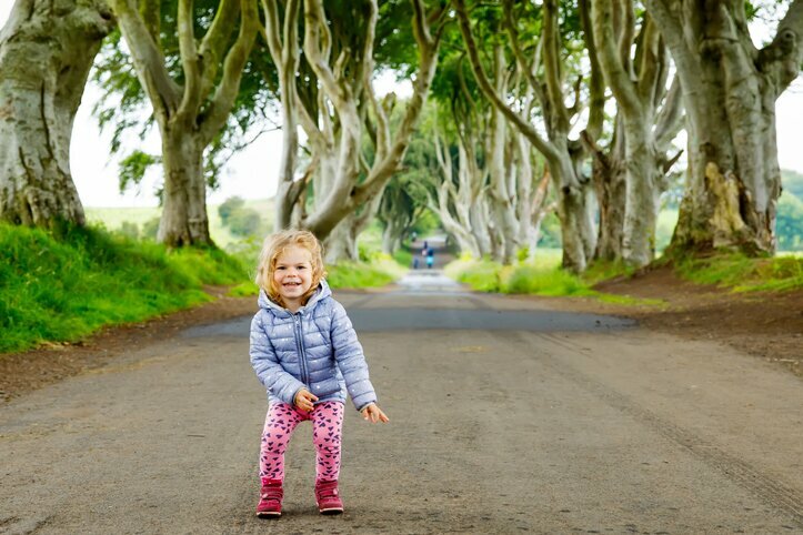 Stop for a photo-op at Antrim's Dark Hedges