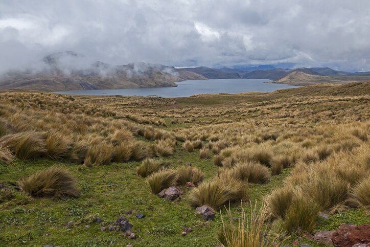 Trekking near Antisana