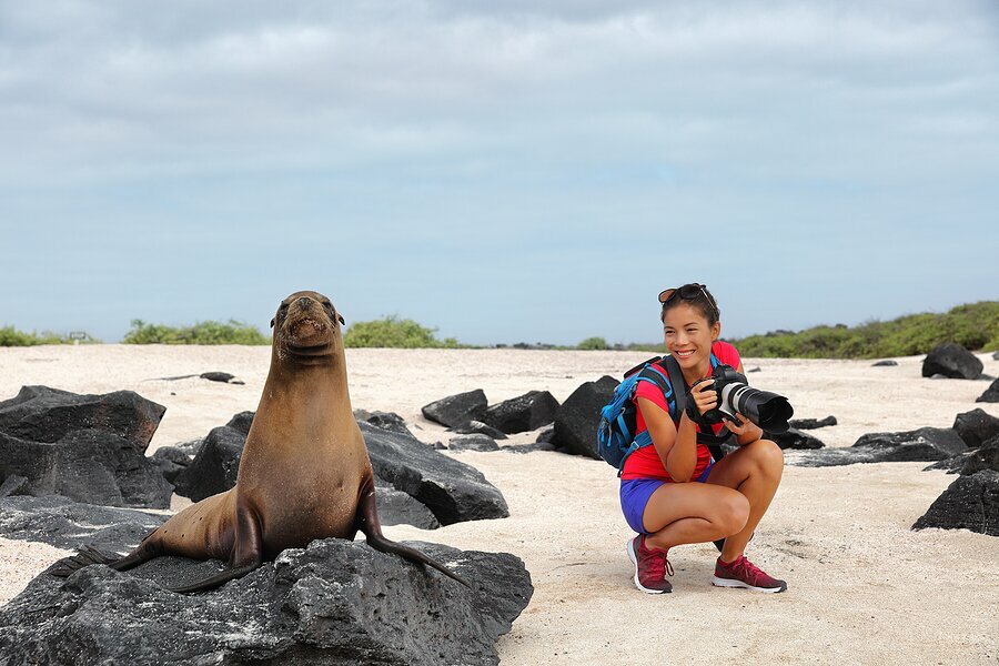 Meet Galápagos sea lions on your island adventures