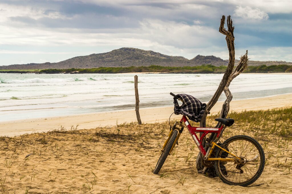Enjoy a biking excursion in the Galapagos
