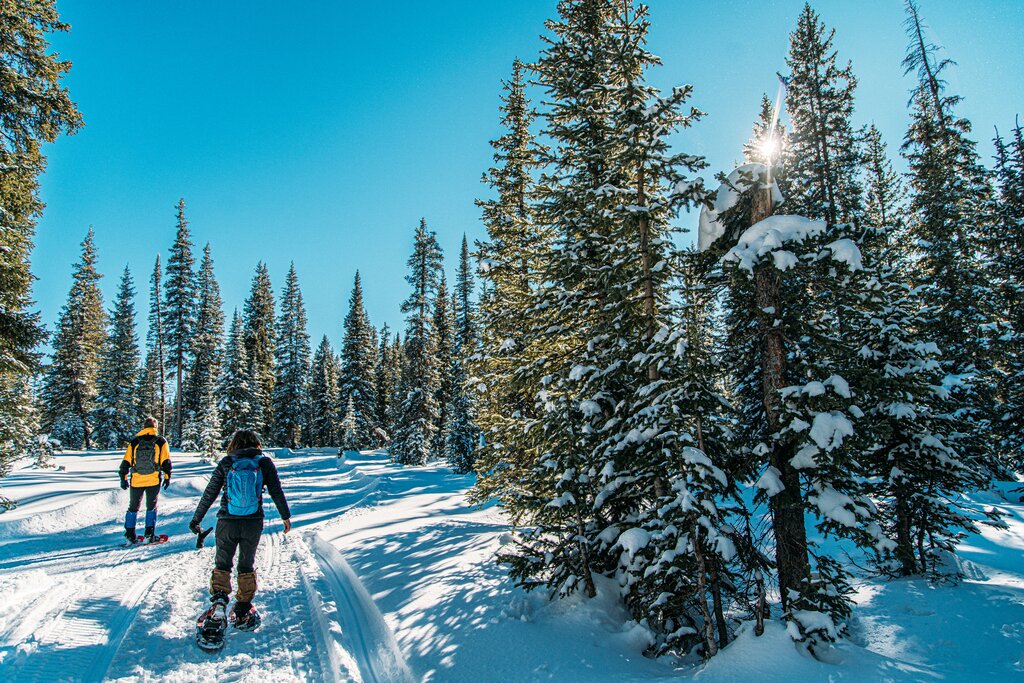 Snowshoeing through a forest