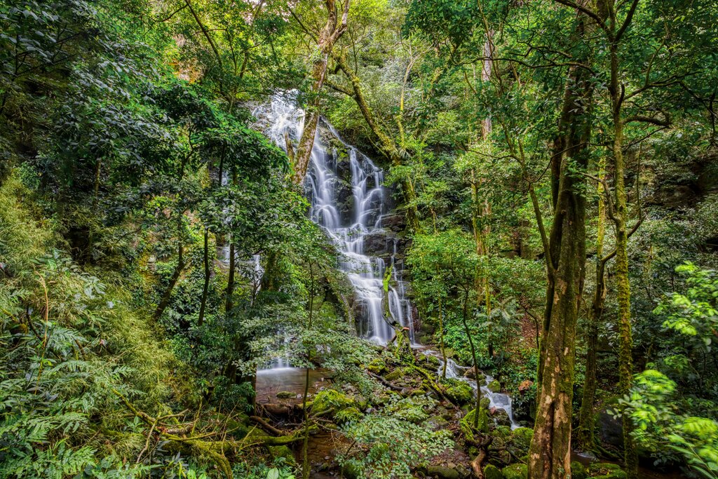 Waterfall flowing in Rincon de la Vieja National Park.