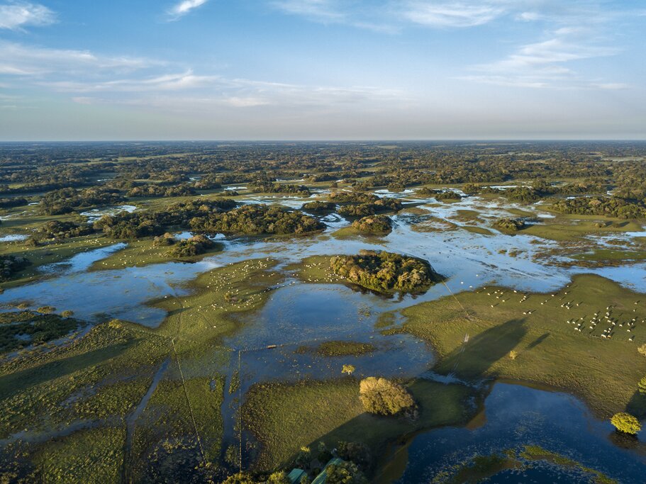 Welcome to the Pantanal