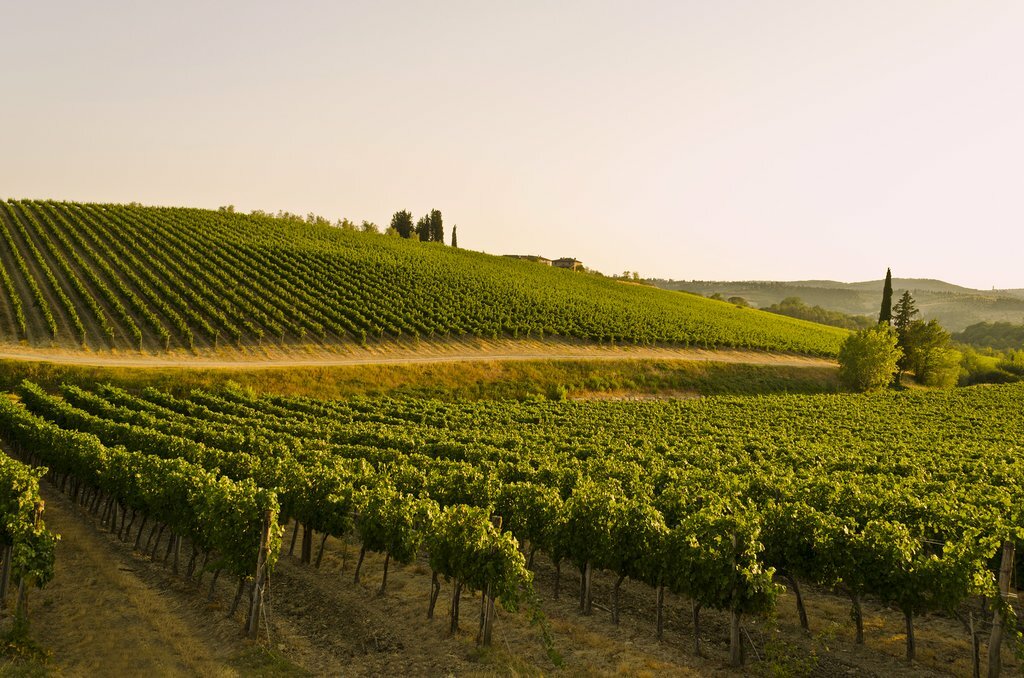 Private e-bike tour in the Tuscany Countryside with wine tasting and Tuscan lunch