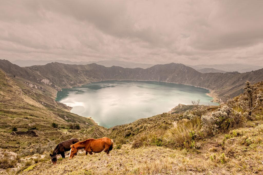Two horses grazing on the slope about Quilotoa Lagoon