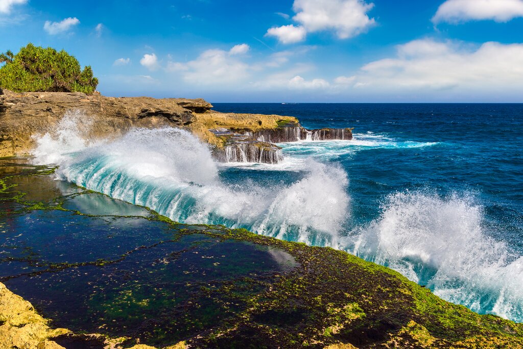 Seaweed Farming Tour in Nusa Lembongan