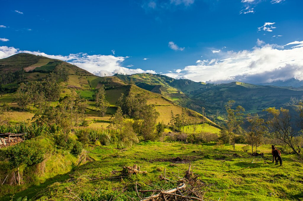 Hills and fields of Isinliví on a sunny day with a horse in a field