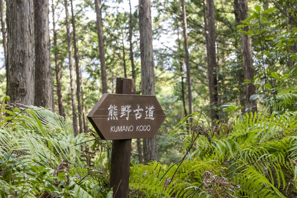 Yunomine onsen