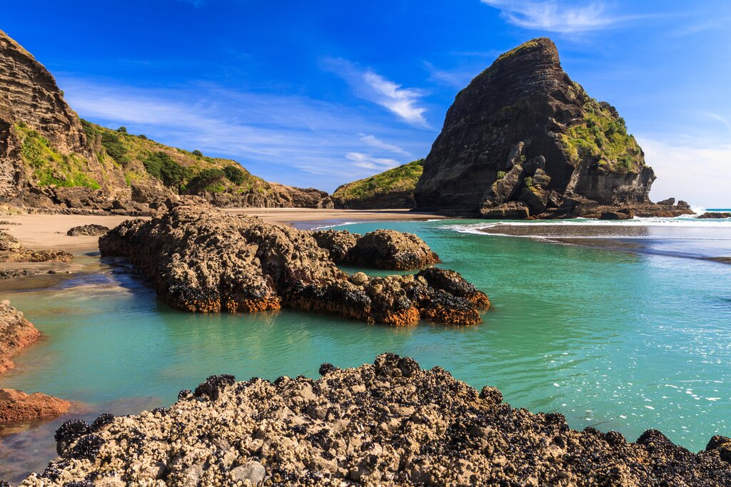 Auckland Best of Both World:  Bush and Beach  - Full day