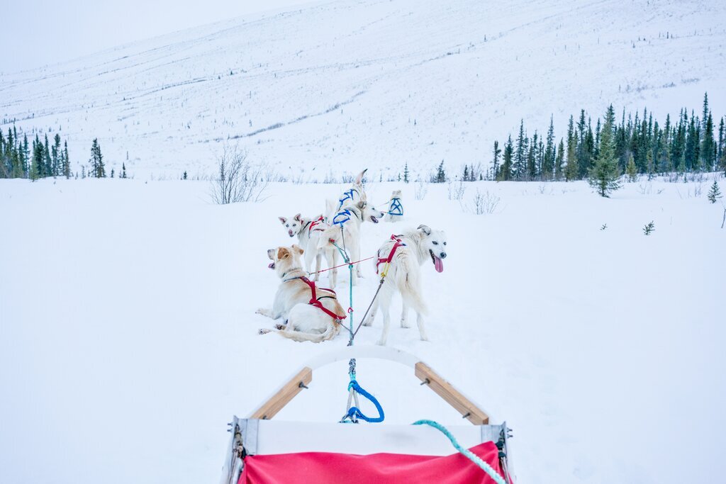 Spend your days snowshoeing and dogsledding and your evenings chasing the northern lights