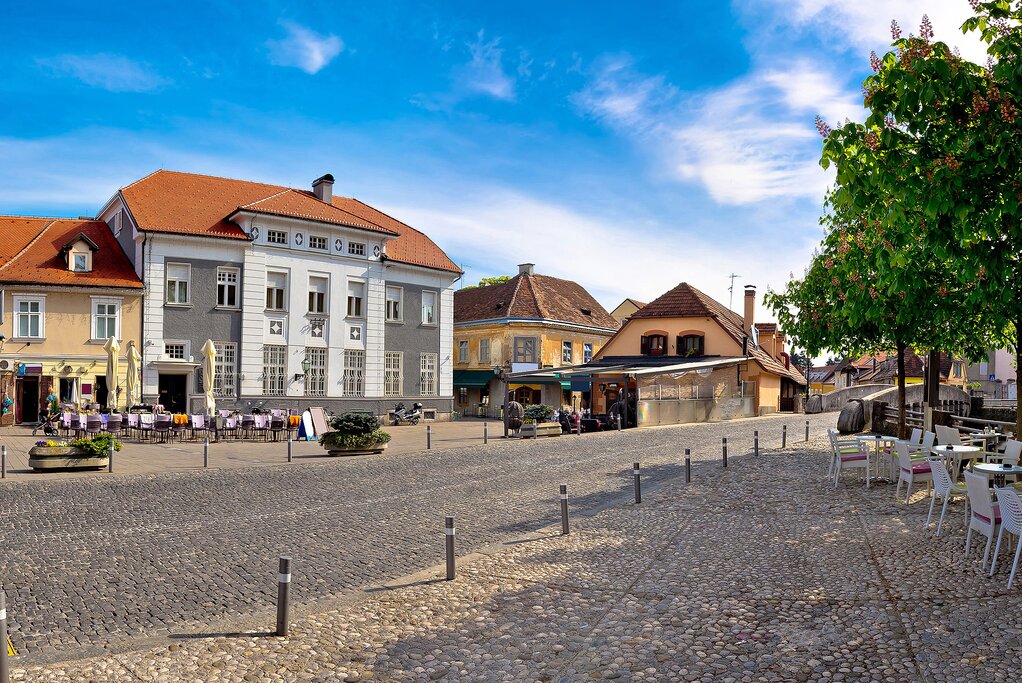 Samobor is famous for a delicious cream-filled pastry called "kremšnite"