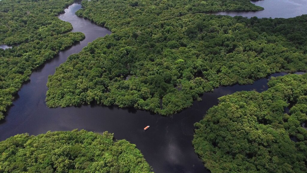 Canoeing Between Igapós and Igarapés