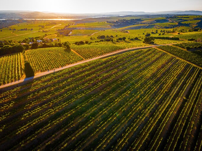 The vineyards of Châteauneuf-du-Pape