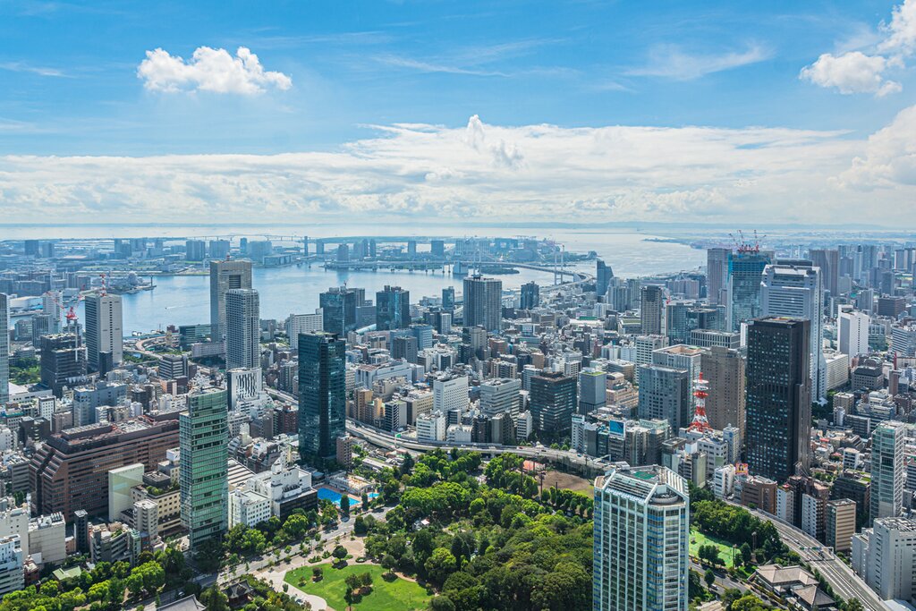Tokyo summer festival