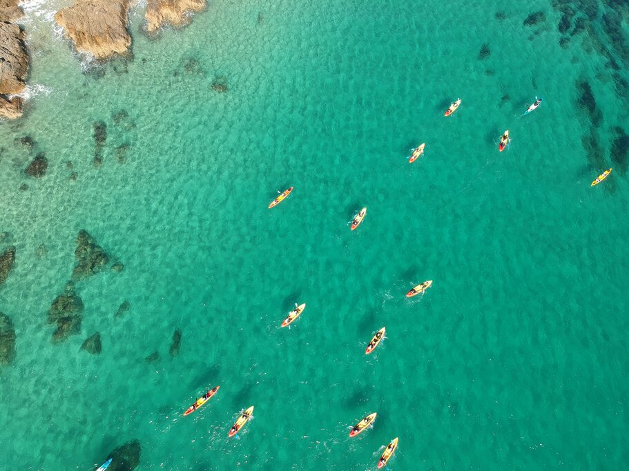 Take part in active adventures, such as kayaking in Byron Bay while looking for dophins